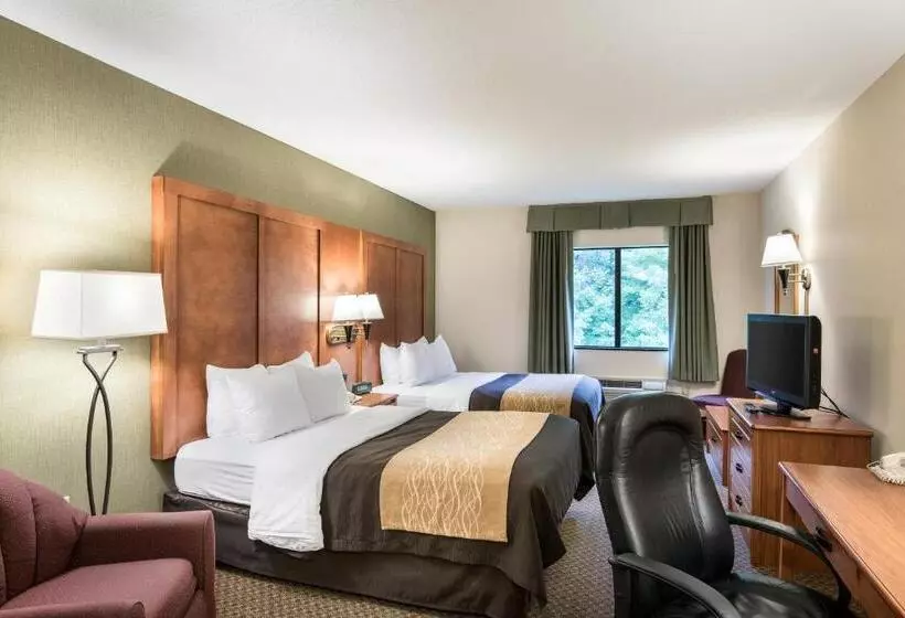 スタンダードルーム, Comfort Inn & Suites Lavale  Cumberland