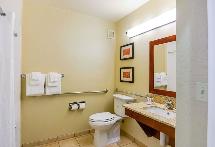 סוויטה מותאמת לאדם עם מוגבלויות, Comfort Inn Woodstock Shenandoah