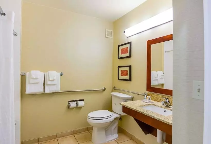 身障者適用スイートルーム, Comfort Inn Woodstock Shenandoah