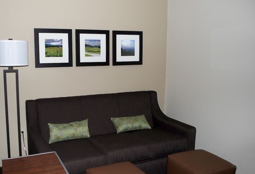 Люкс Адаптированный для Инвалидов, Comfort Inn Woodstock Shenandoah