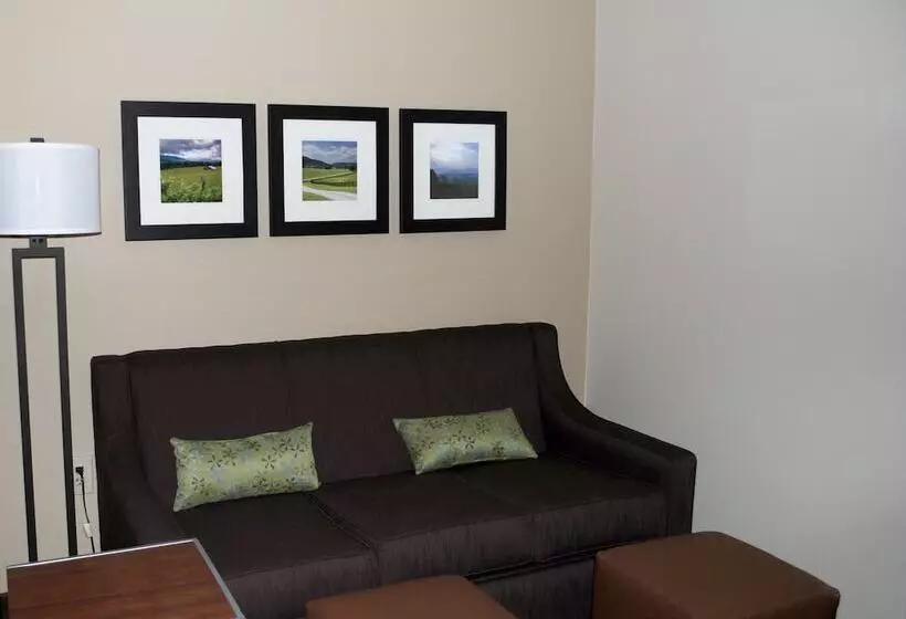 身障者適用スイートルーム, Comfort Inn Woodstock Shenandoah