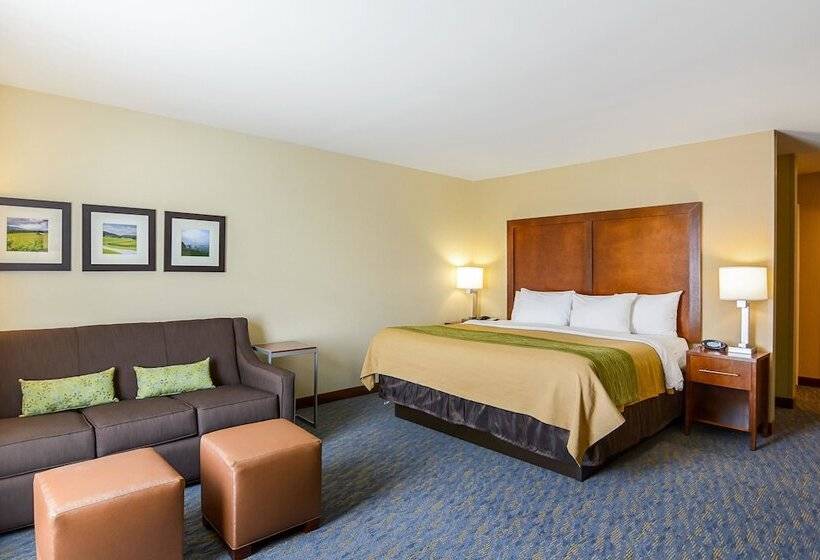 סוויטה מותאמת לאדם עם מוגבלויות, Comfort Inn Woodstock Shenandoah