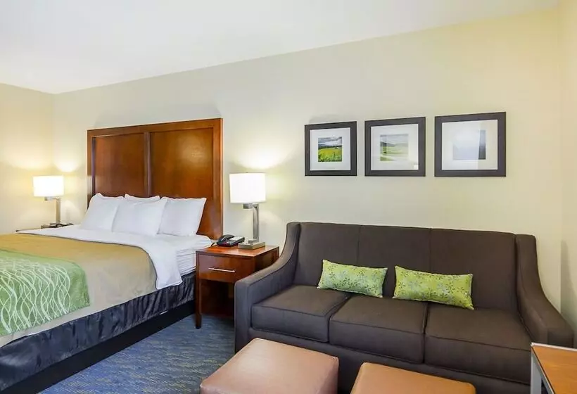 身障者適用スイートルーム, Comfort Inn Woodstock Shenandoah