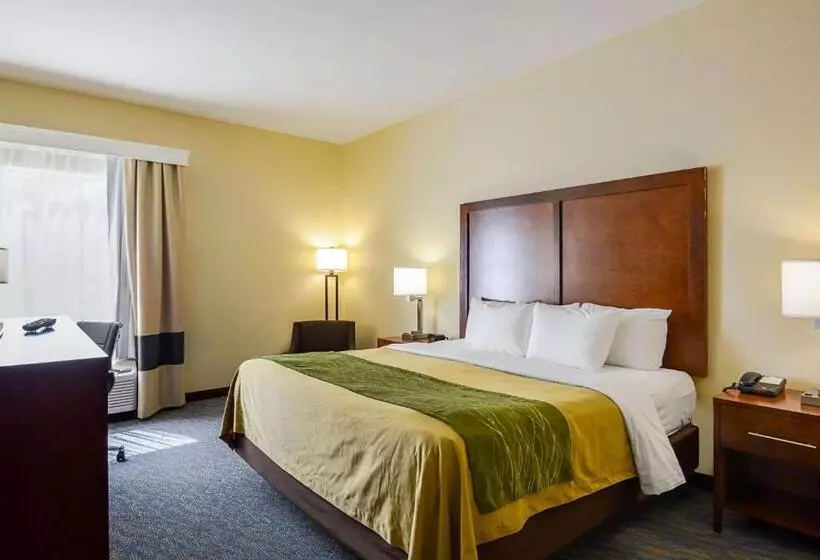 キングサイズベッドのスタンダードルーム, Comfort Inn Woodstock Shenandoah