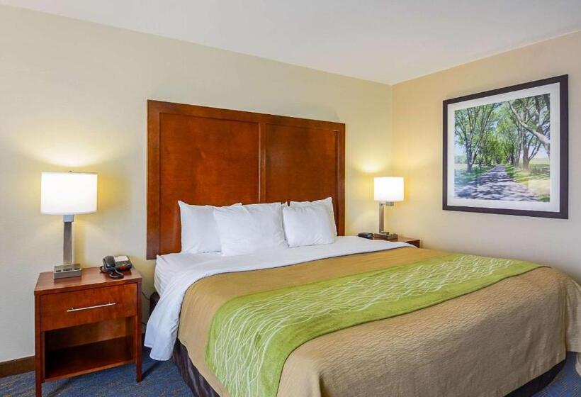 Стандартный Номер Кровать Кинг, Comfort Inn Woodstock Shenandoah