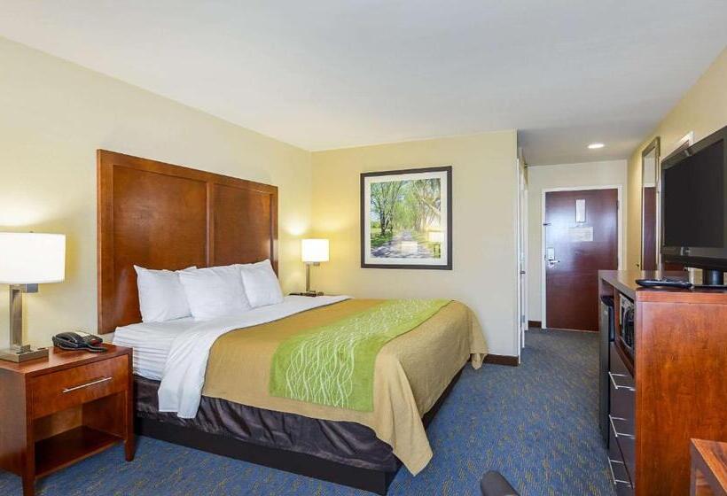 Стандартный Номер Кровать Кинг, Comfort Inn Woodstock Shenandoah