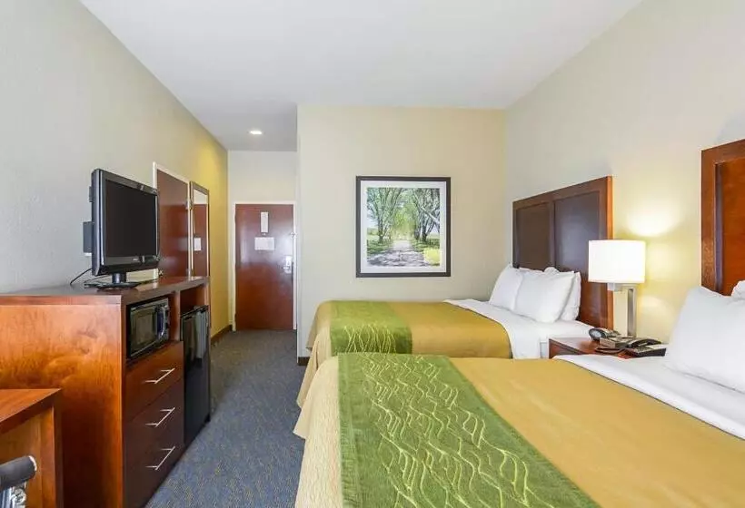 スタンダードルーム, Comfort Inn Woodstock Shenandoah