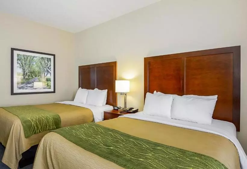 スタンダードルーム, Comfort Inn Woodstock Shenandoah