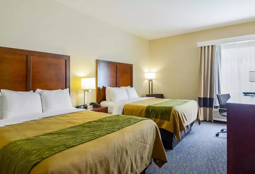 スタンダードルーム, Comfort Inn Woodstock Shenandoah