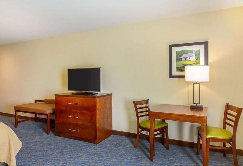 סוויטה מותאמת לאדם עם מוגבלויות, Comfort Inn Woodstock Shenandoah