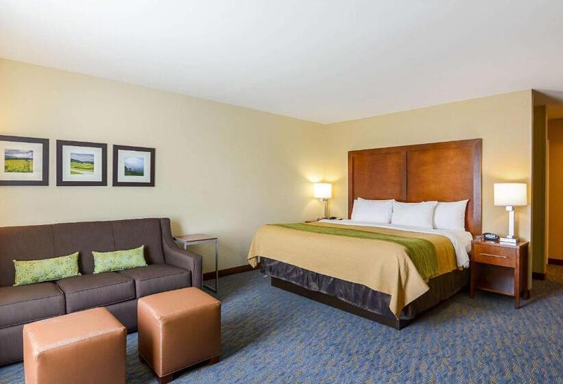 Люкс Адаптированный для Инвалидов, Comfort Inn Woodstock Shenandoah