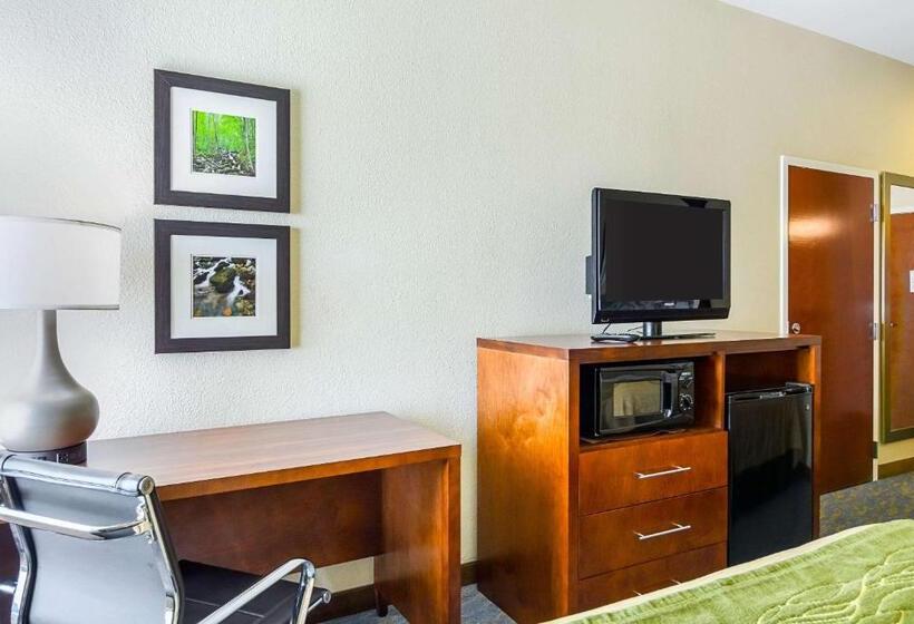 Номер Стандарт Адаптированный для Инвалидов, Comfort Inn Woodstock Shenandoah