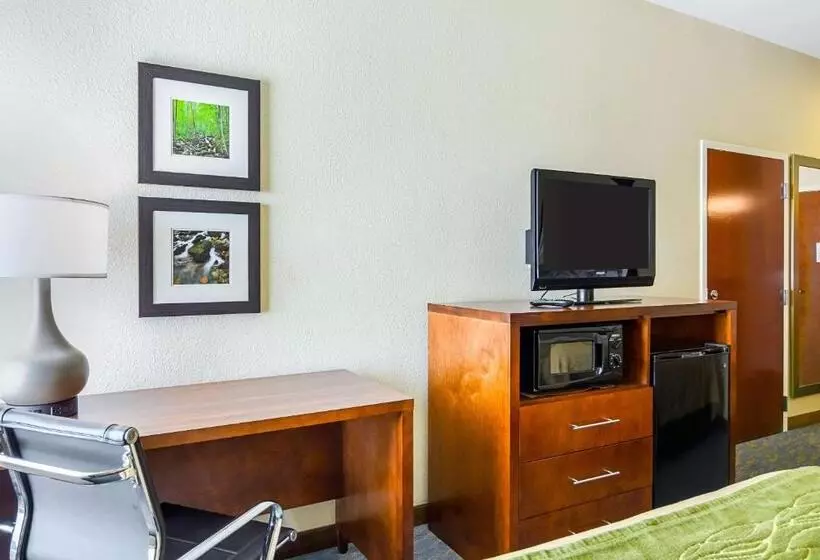 身障者適用スタンダードルーム, Comfort Inn Woodstock Shenandoah