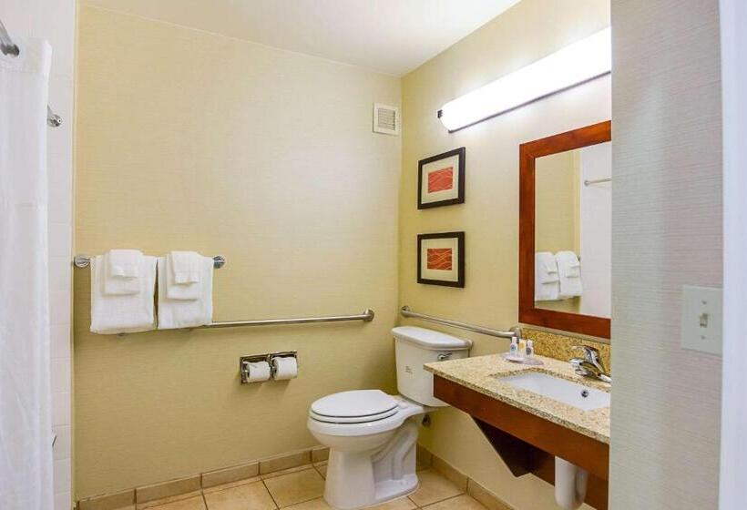 חדר סטנדרט מותאם לאדם עם מוגבלויות, Comfort Inn Woodstock Shenandoah