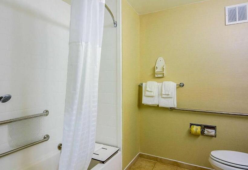 غرفة قياسية لذوى الاحتياجات الخاصة, Comfort Inn Woodstock Shenandoah