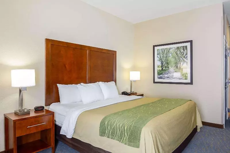 キングサイズベッドのスタンダードルーム, Comfort Inn Woodstock Shenandoah