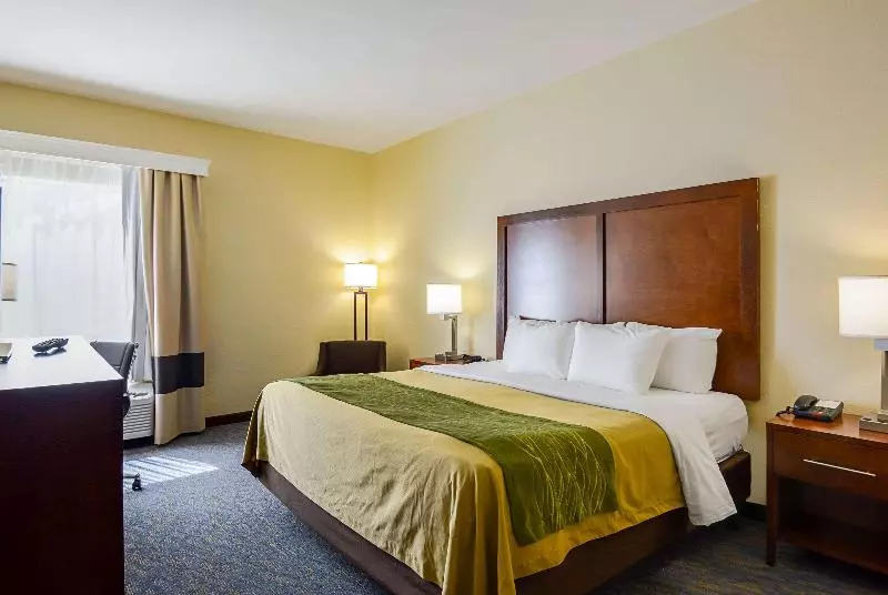 キングサイズベッドのスタンダードルーム, Comfort Inn Woodstock Shenandoah