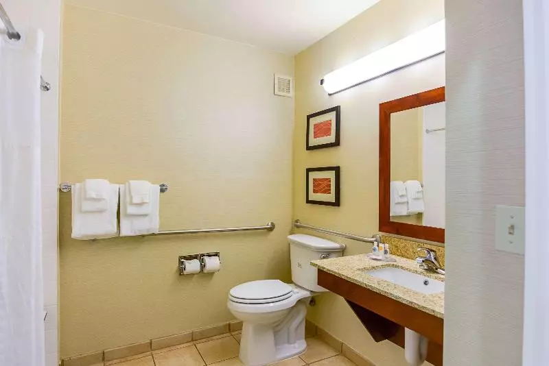 キングサイズベッドのスタンダードルーム, Comfort Inn Woodstock Shenandoah