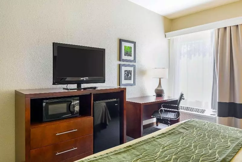 キングサイズベッドのスタンダードルーム, Comfort Inn Woodstock Shenandoah
