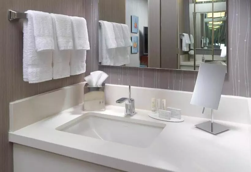キングサイズベッドのエクゼクティブルーム, Courtyard By Marriott Atlanta Alpharetta