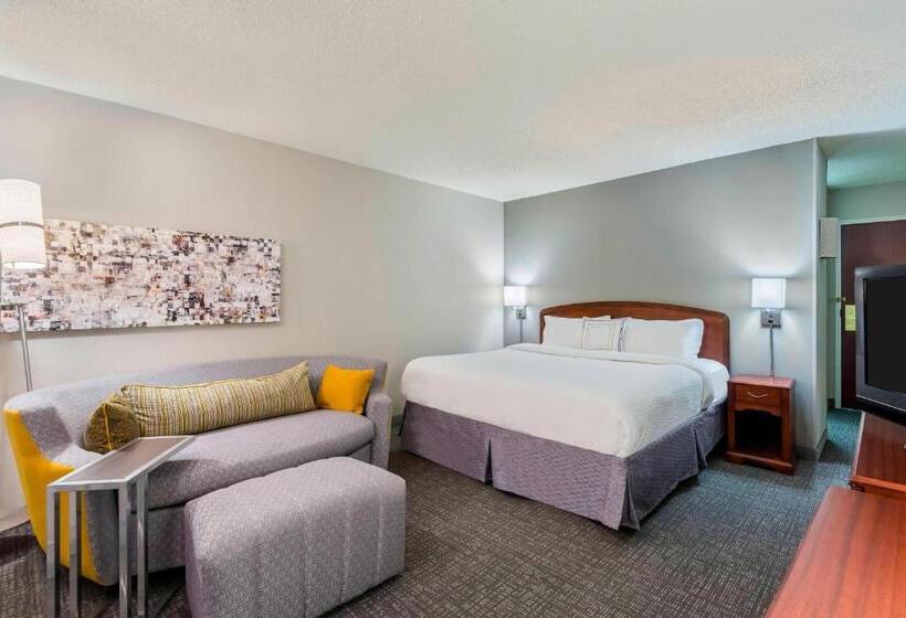 Standaardkamer met Kingsize Bed, Courtyard By Marriott Chattanooga Downtown