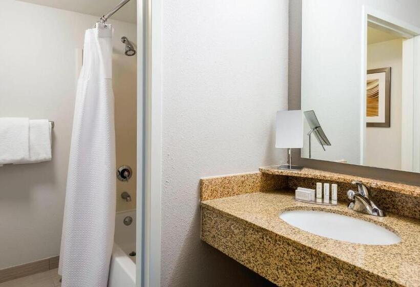 اتاق استاندارد با تخت بزرگ برای معلولان, Courtyard By Marriott Chattanooga Downtown