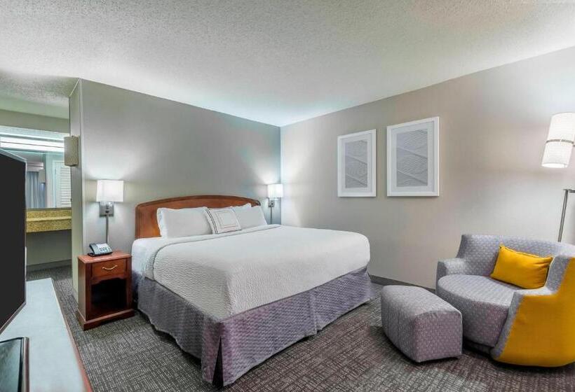 Standaardkamer met Kingsize Bed Aangepast voor Gehandicapten, Courtyard By Marriott Chattanooga Downtown