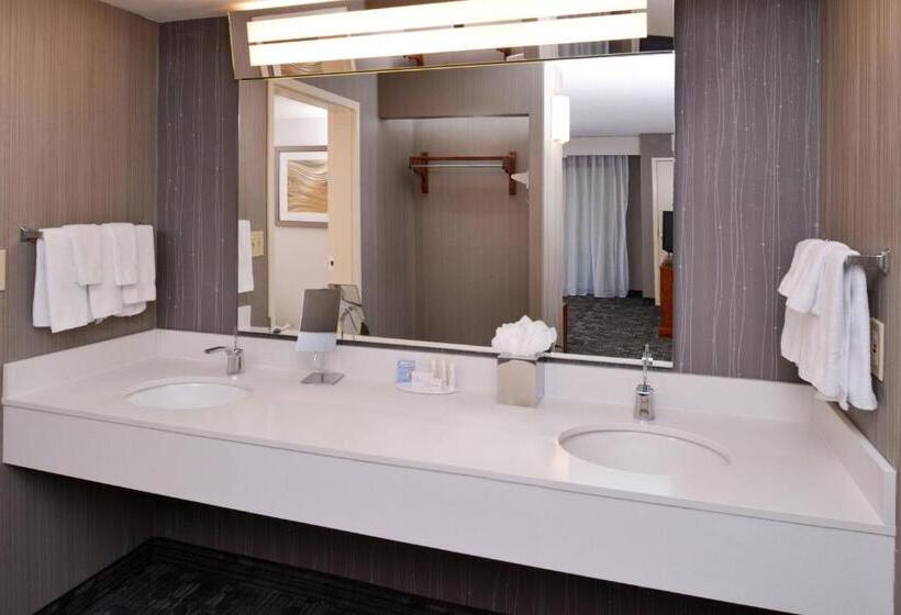 带大床的套房, Courtyard Charlotte Gastonia