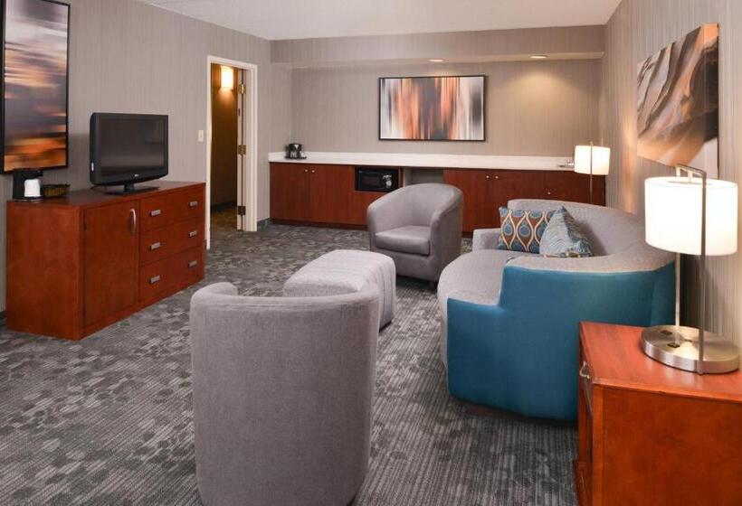 带大床的套房, Courtyard Charlotte Gastonia