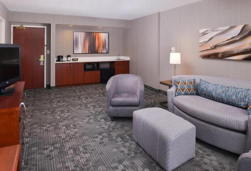 带大床的套房, Courtyard Charlotte Gastonia