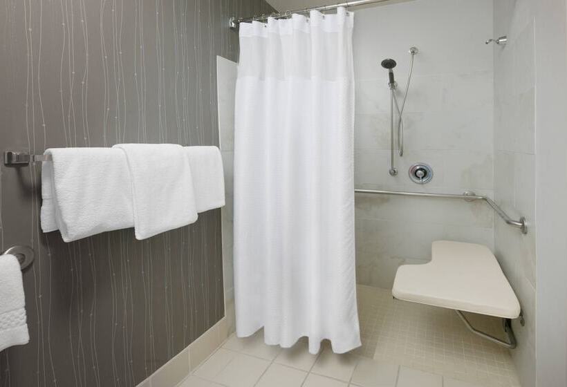 غرفة قياسية, Courtyard Dallas Addison Quorum Drive