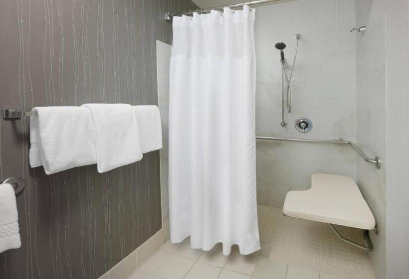 غرفة قياسية, Courtyard Dallas Addison Quorum Drive