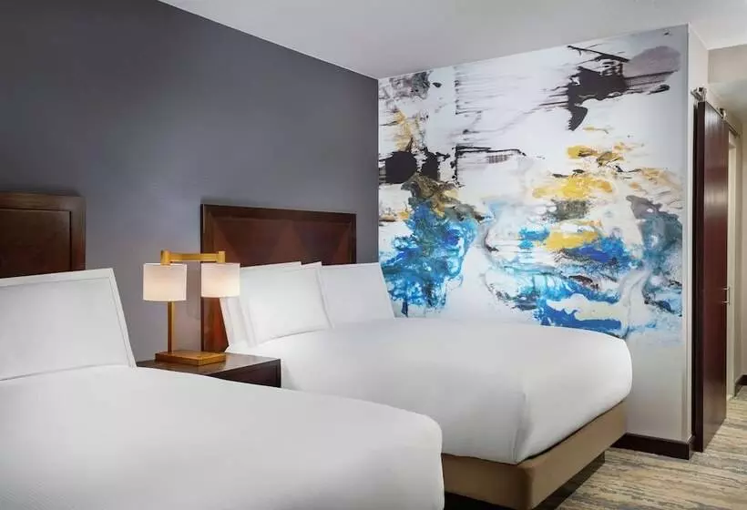 身障者適用スタンダードルーム, Hilton Americashouston