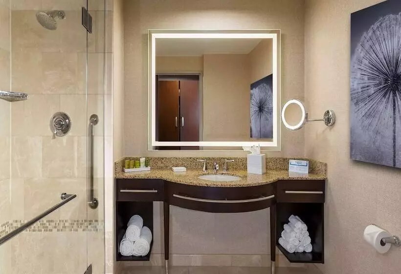 身障者適用スタンダードルーム, Hilton Americashouston