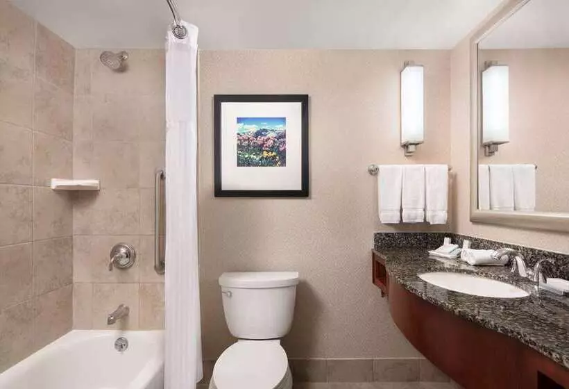 キングサイズベッドのスタンダードルーム, Hilton Americashouston