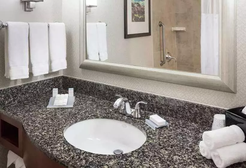 キングサイズベッドのスタンダードルーム, Hilton Americashouston