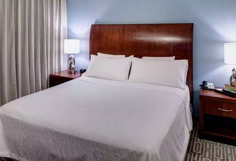 キングサイズベッドのスタンダードルーム, Hilton Americashouston