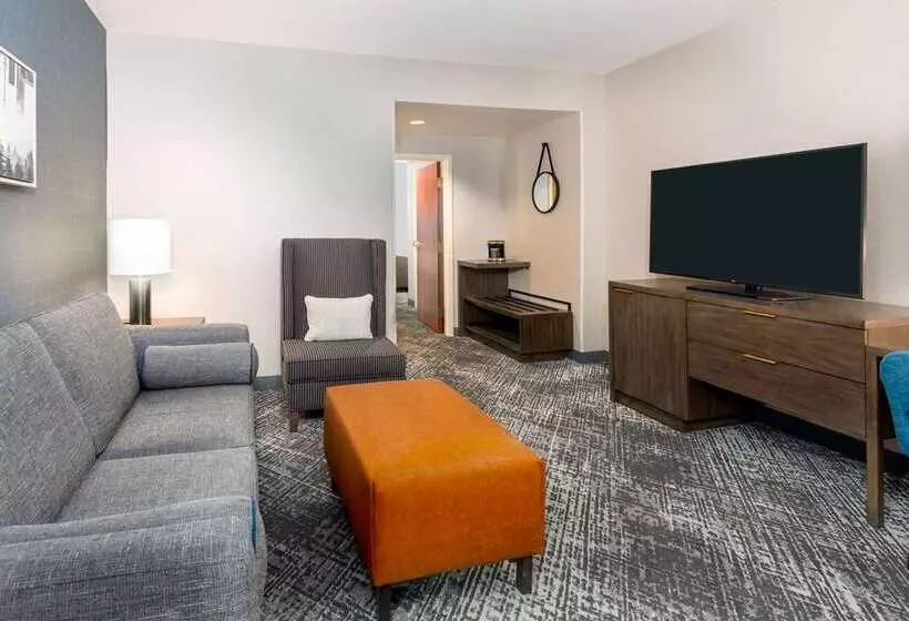 スタンダードルーム, Hilton Americashouston