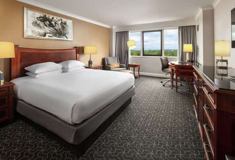 חדר סטנדרט, Hilton Americashouston