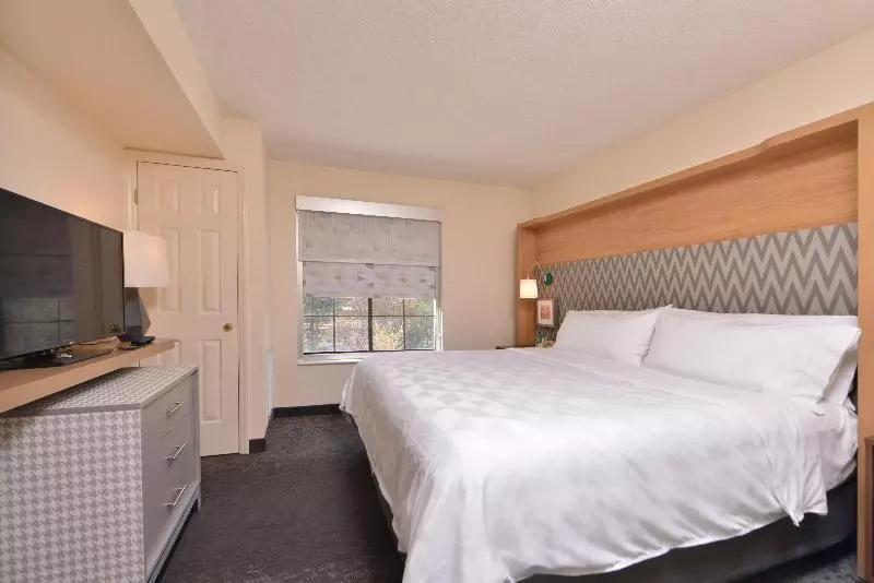 キングサイズベッドのスタンダードルーム, Holiday Inn & Suites Raleigh Cary, An Ihg
