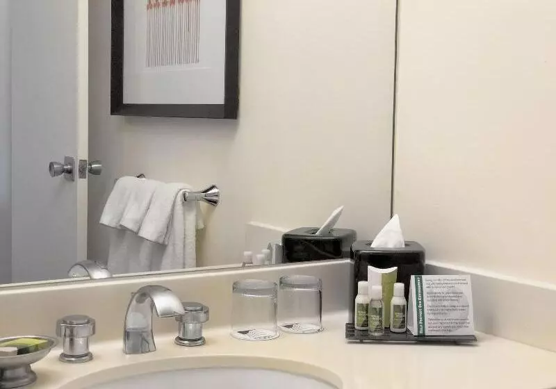 استودیو استاندارد با تخت کینگ, Homewood Suites By Hilton Richmond  Airport