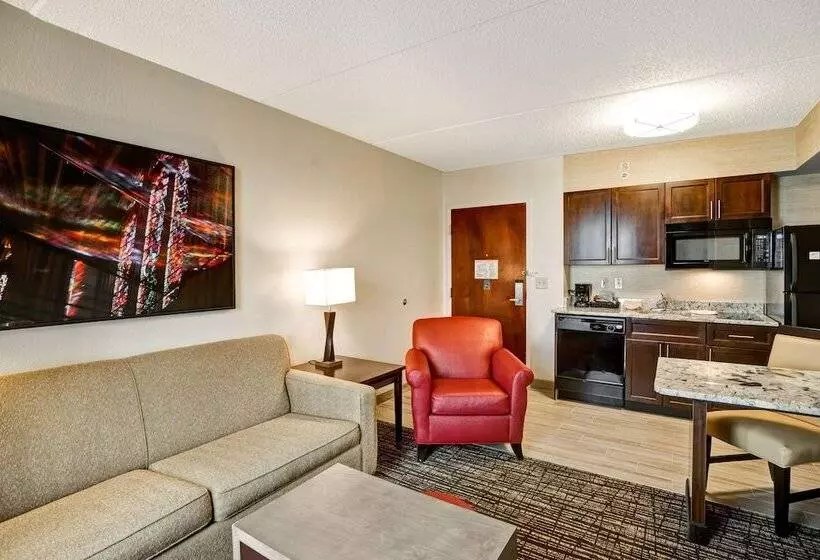 سوئیت با تخت بزرگ, Homewood Suites By Hilton Washington, D.c. Downtown