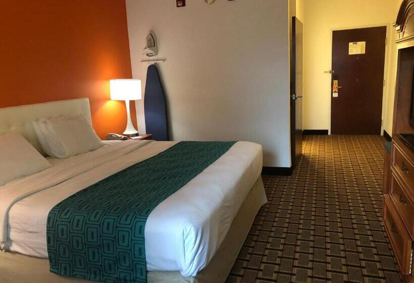 اتاق استاندارد با تخت بزرگ, Howard Johnson By Wyndham Airport