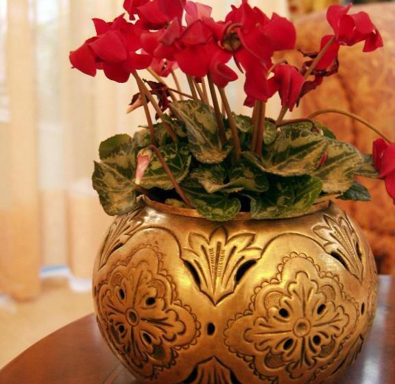 غرفة قياسية, Liberty