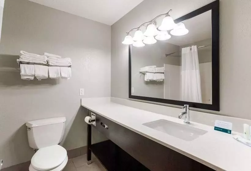 スイート, Quality Inn & Suites
