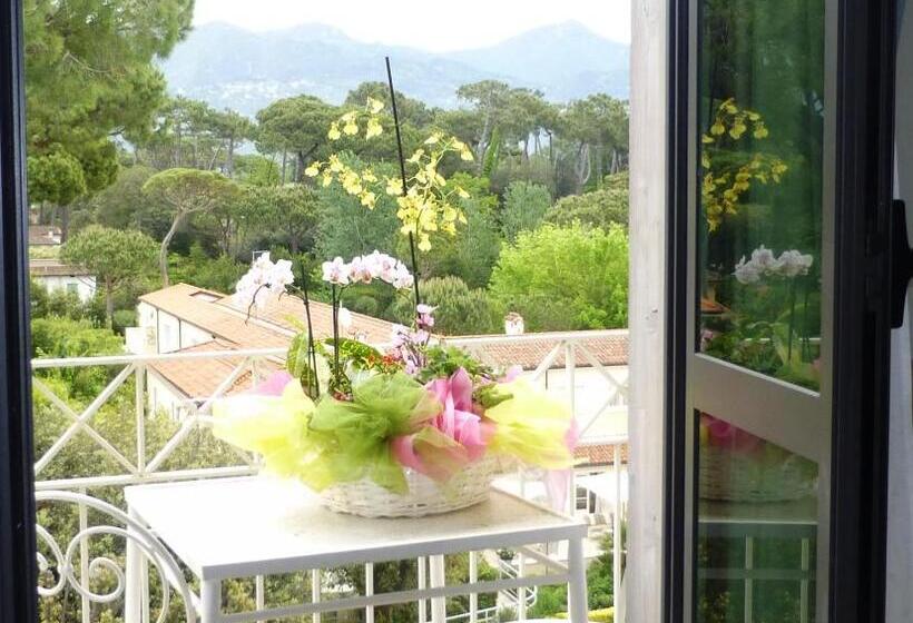 标准单人间, Acapulco