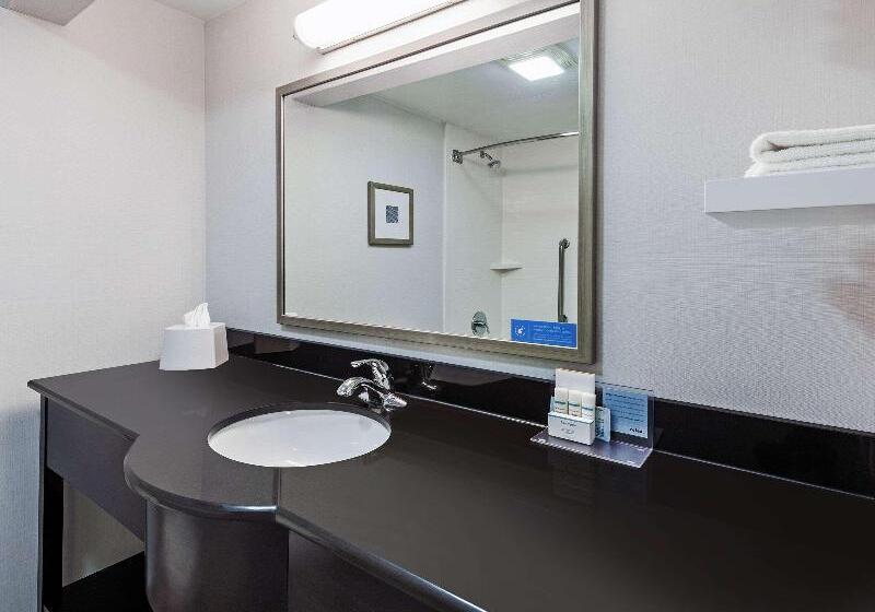 스탠다드 룸 킹사이즈 침대, Comfort Inn Sherman