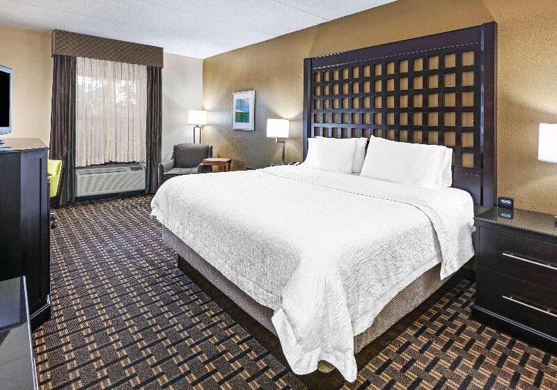 스탠다드 룸 킹사이즈 침대, Comfort Inn Sherman