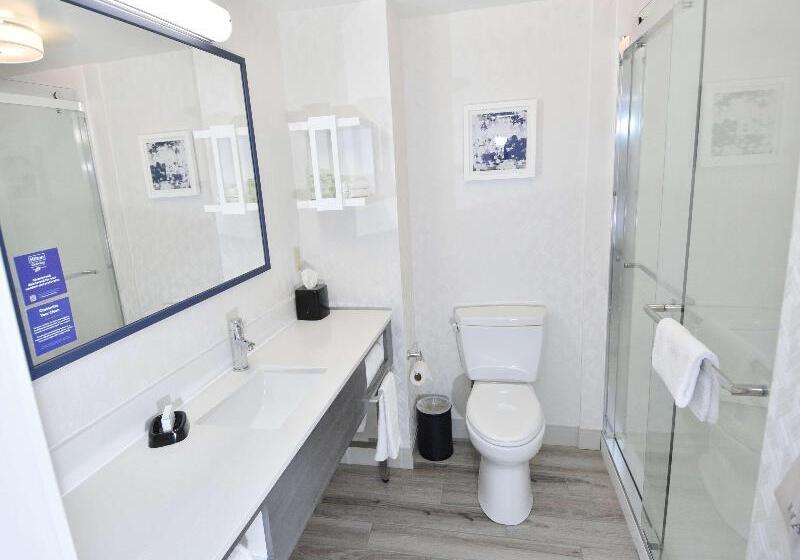 غرفة قياسية, Hampton Inn Auburn