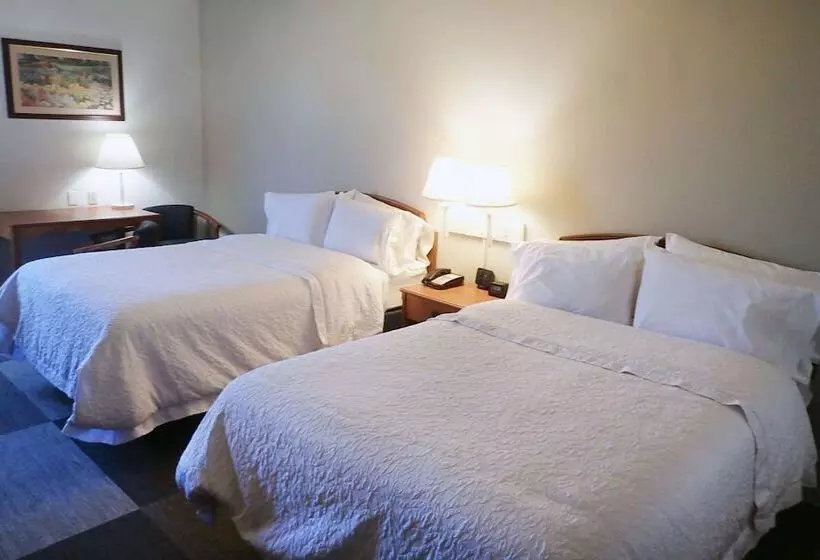 ２ダブルベッドのスタンダードルーム, Comfort Inn & Suites Mt. Holly   Westampton